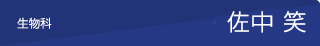 佐中笑